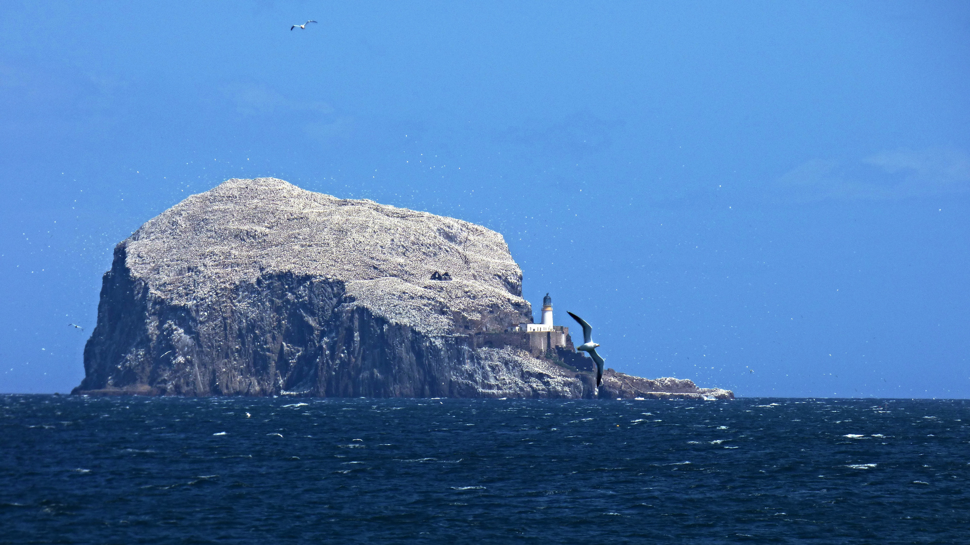 BASS ROCK