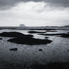 Bass Rock from North Berwick Harbour