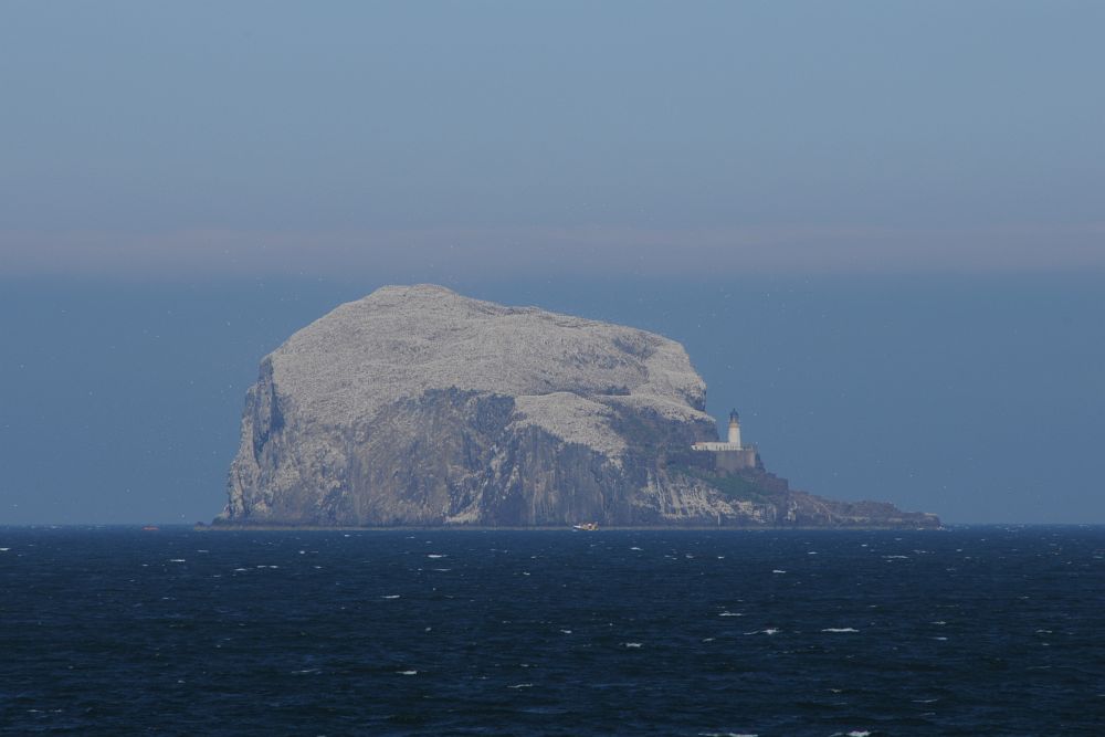 Bass Rock II