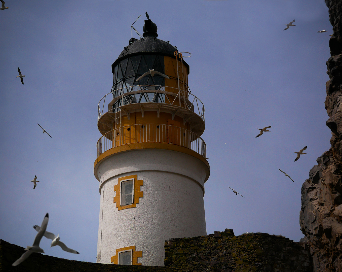 Bass Rock Leuchtturm