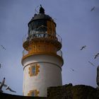 Bass Rock Leuchtturm