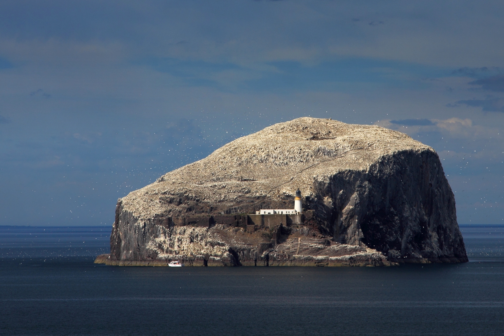 Bass Rock Lighthouse