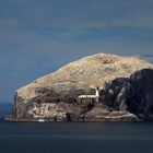 Bass Rock Lighthouse