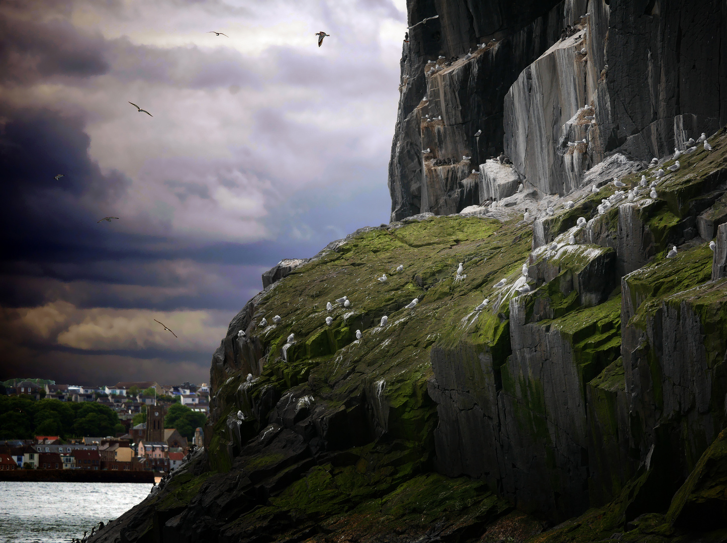 Bass Rock - North Berwick