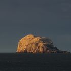 Bass Rock Schottland