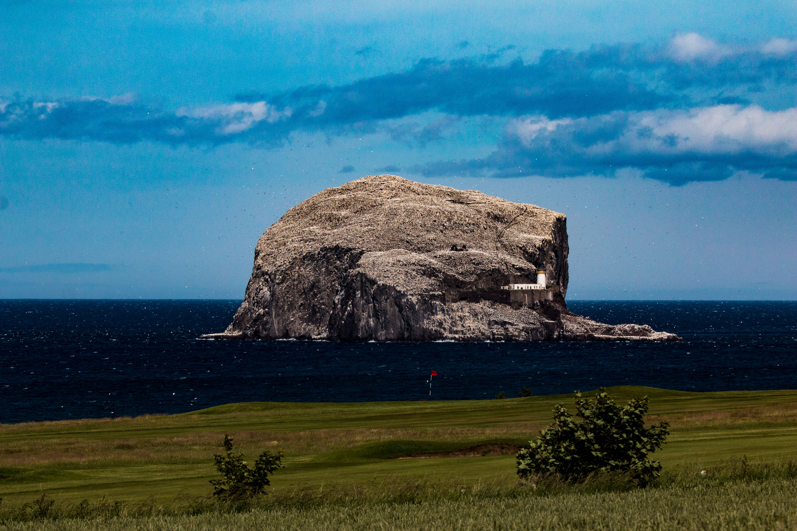 Bass Rock Scotland