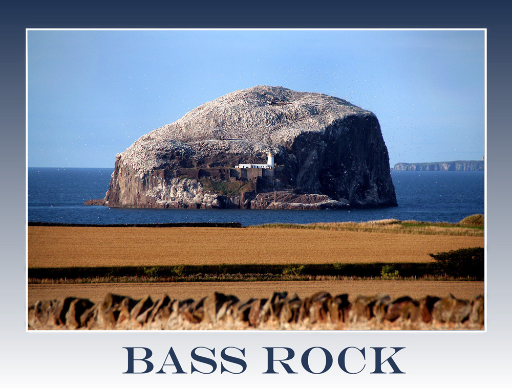 Bass Rock, Vögel, Leuchtturm, Meer, Himmel, Berg, Schottland, Edinburgh.