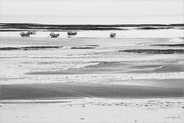 Bassa marea .........!!