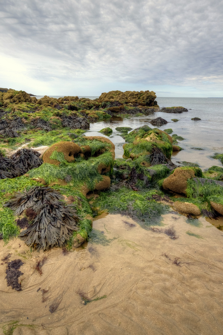 Bassa marea (Irlanda)