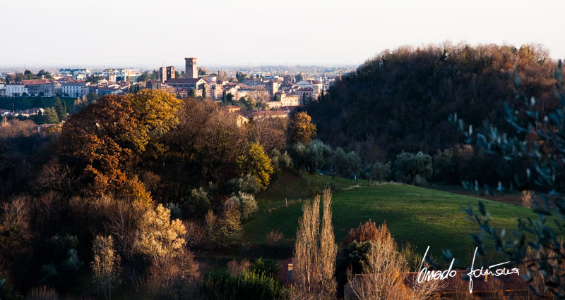 Bassano dai colli