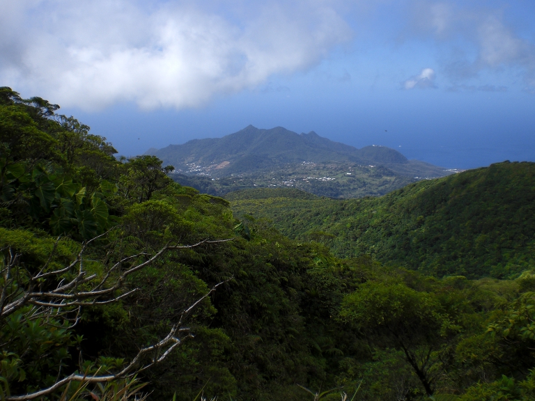 Basse Terre depuis La Soufrière - Gwada