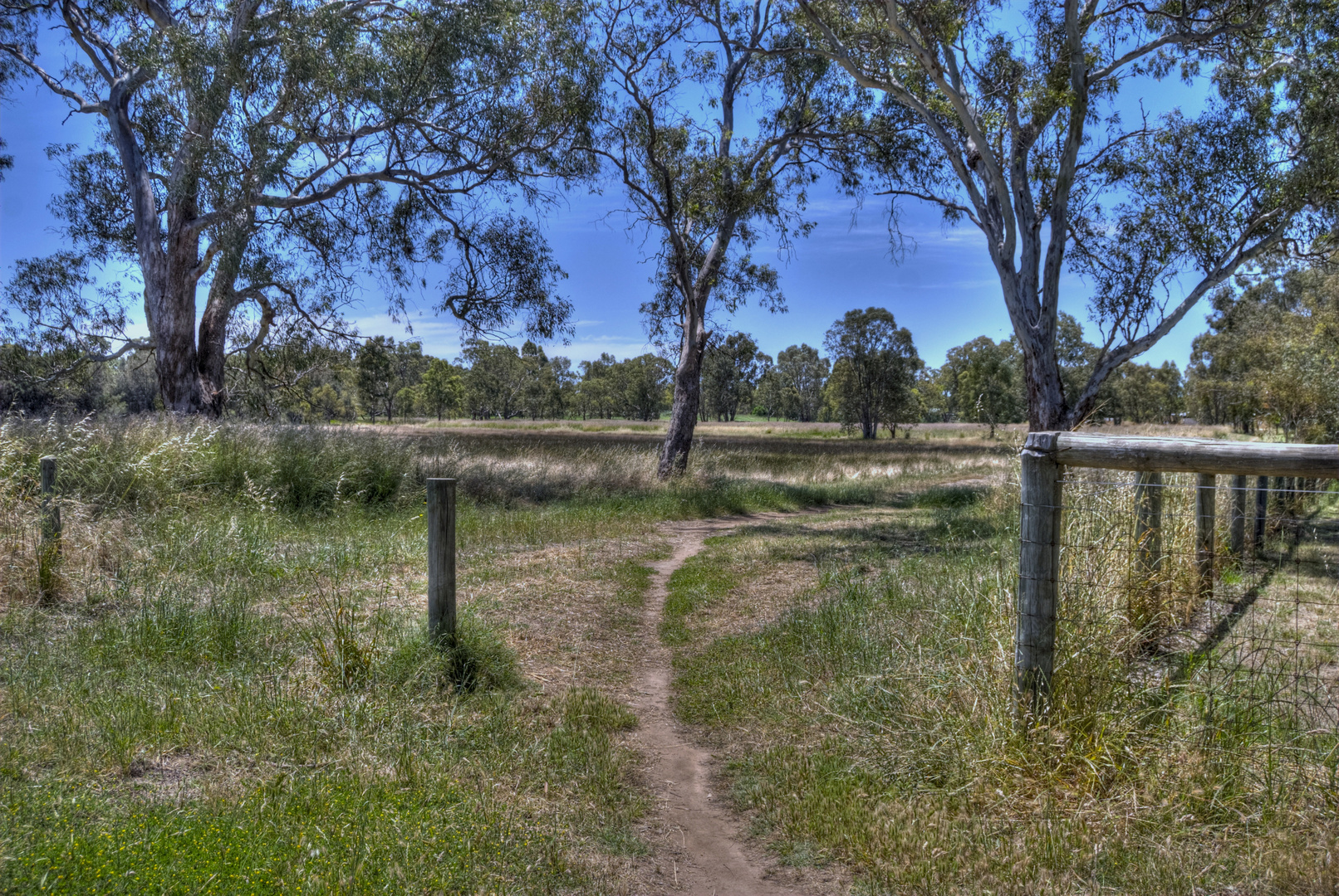 Bassendean WA Homestead