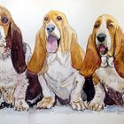 Basset-Trio