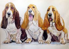 Basset-Trio