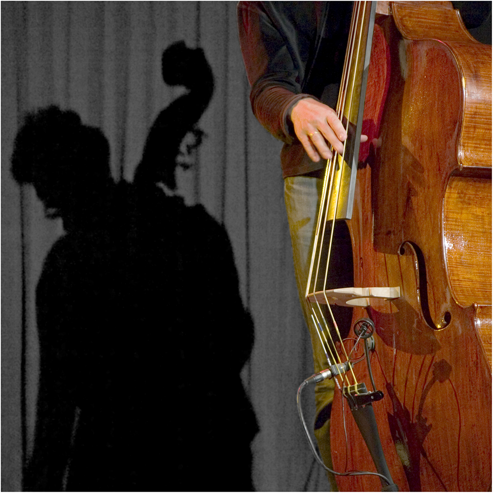 Bass_Heinz Schaub