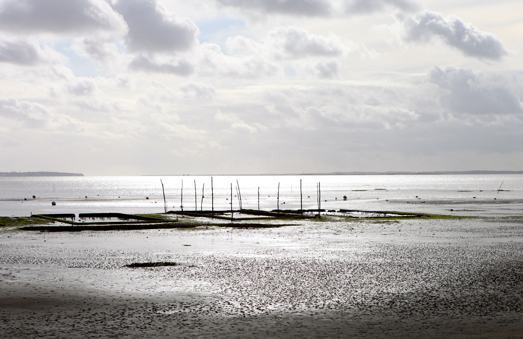 bassin d'arcachon