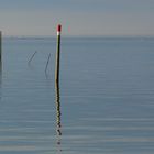 Bassin d'Arcachon 7:59 h