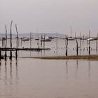 Bassin d'Arcachon