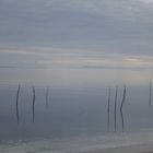 Bassin d'Arcachon surrealiste