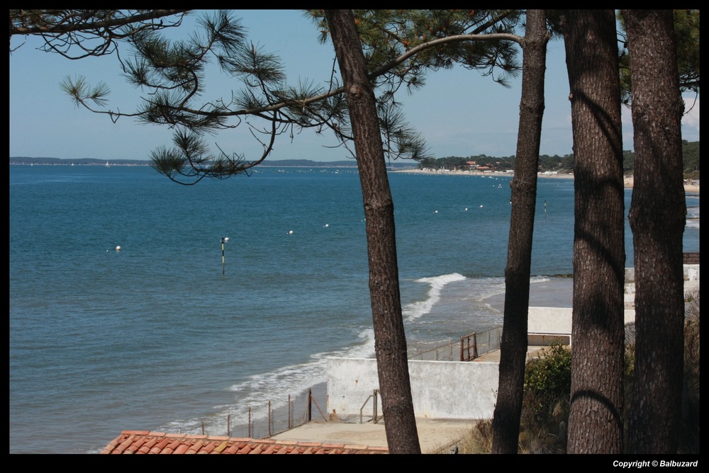 " Bassin d'Arcachon vers le Mouleau "