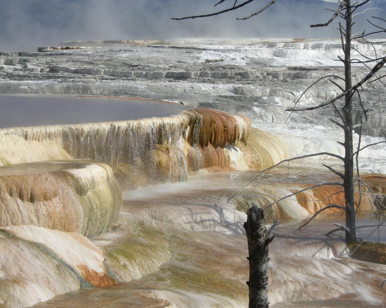 Bassin der verflossenen Seelen