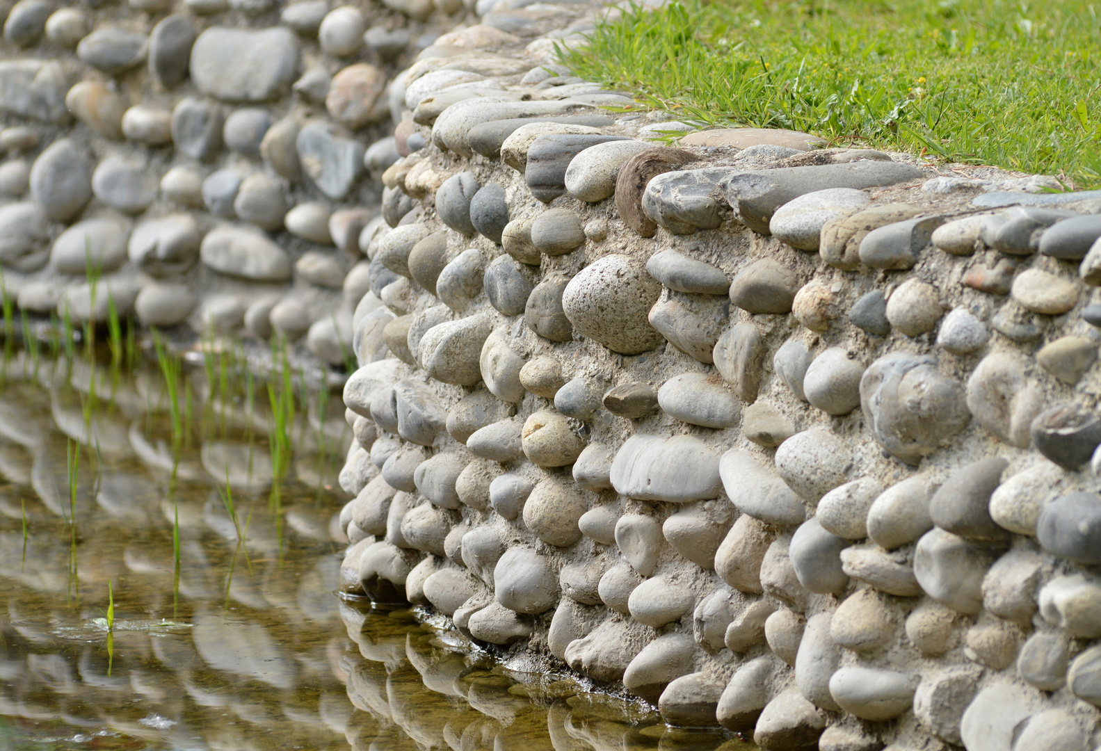 Bassin entouré de pierres - Jardin