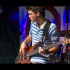 Bassist