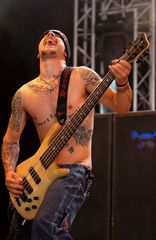 Bassist