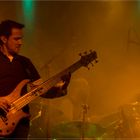 bassist sepia