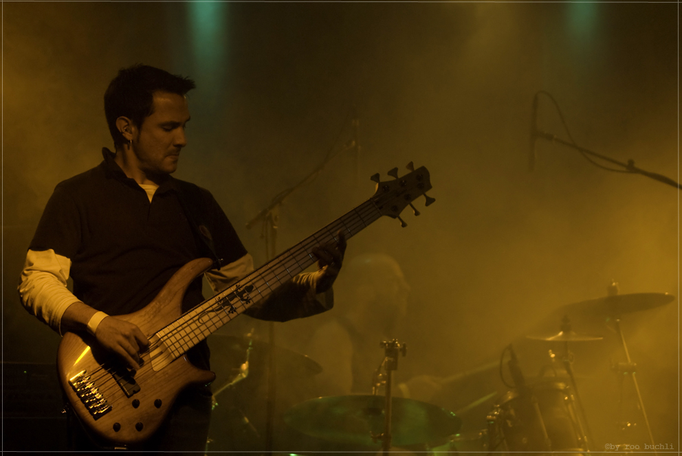 bassist sepia