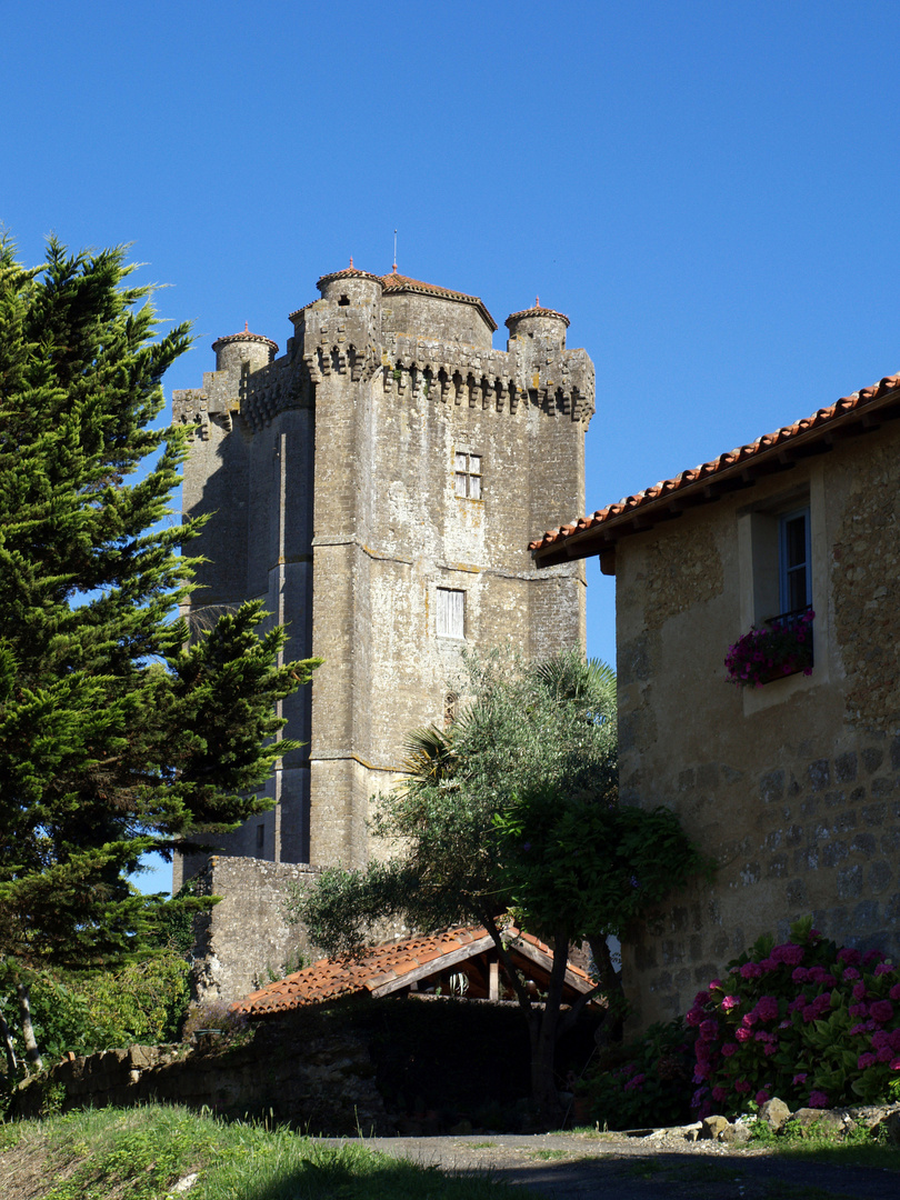 Bassoues 1 (Bassoas en gascon, venant de Bassoa en basque, qui signifie « forêt)