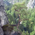 Bastei