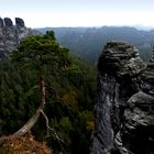 Bastei 8