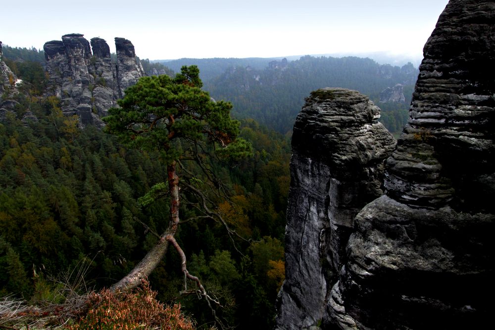 Bastei 8