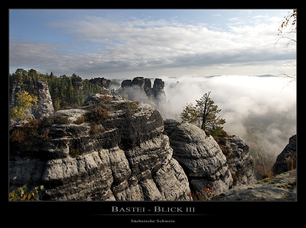 Bastei - Blick III