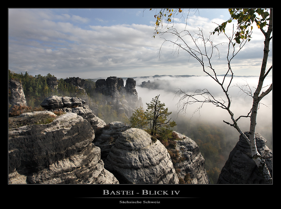 Bastei - Blick IV