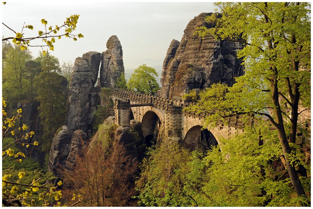 Bastei Brücke #1