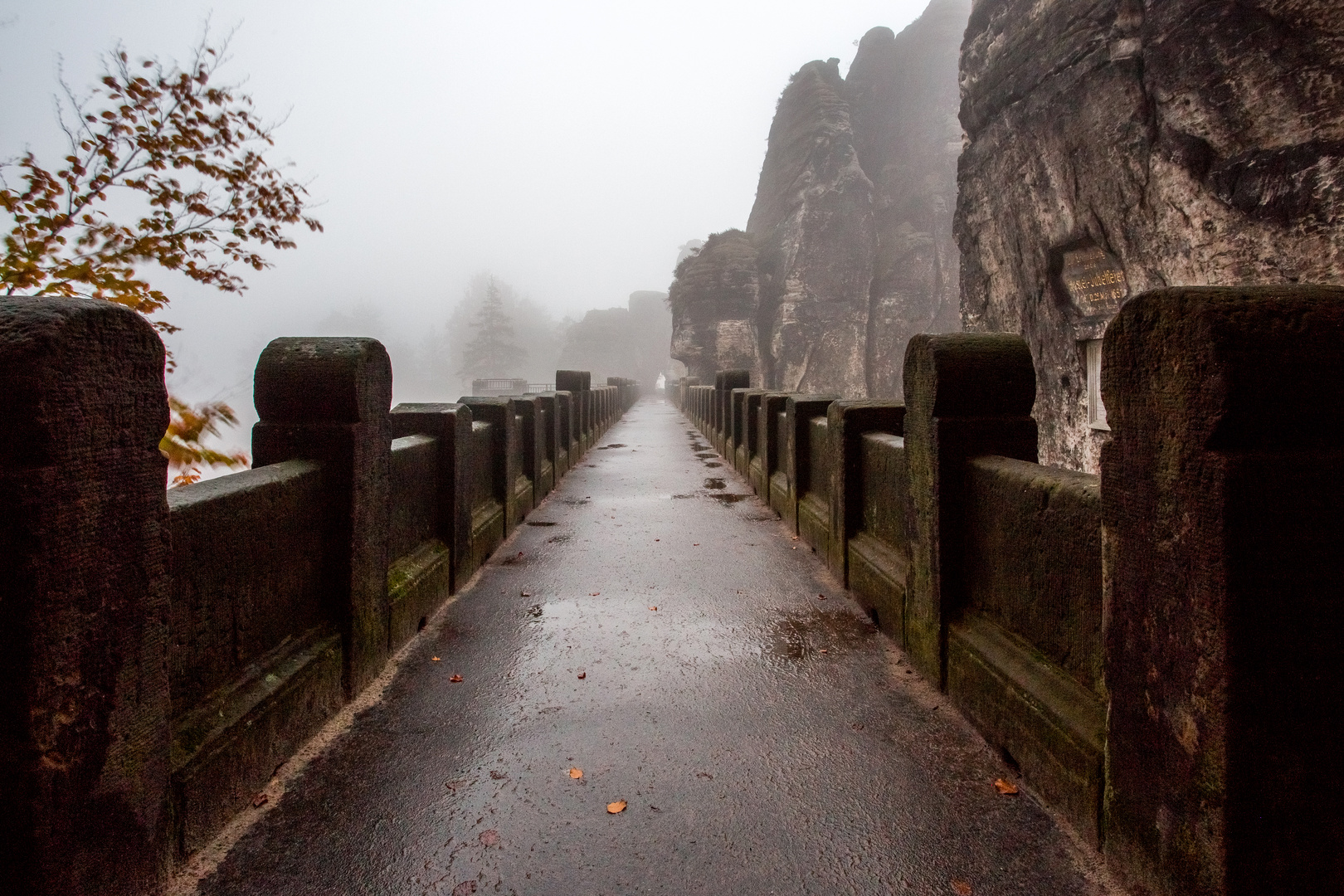 Bastei im Elbsandsteingebirge