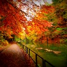 Bastei im Herbst Amselsee