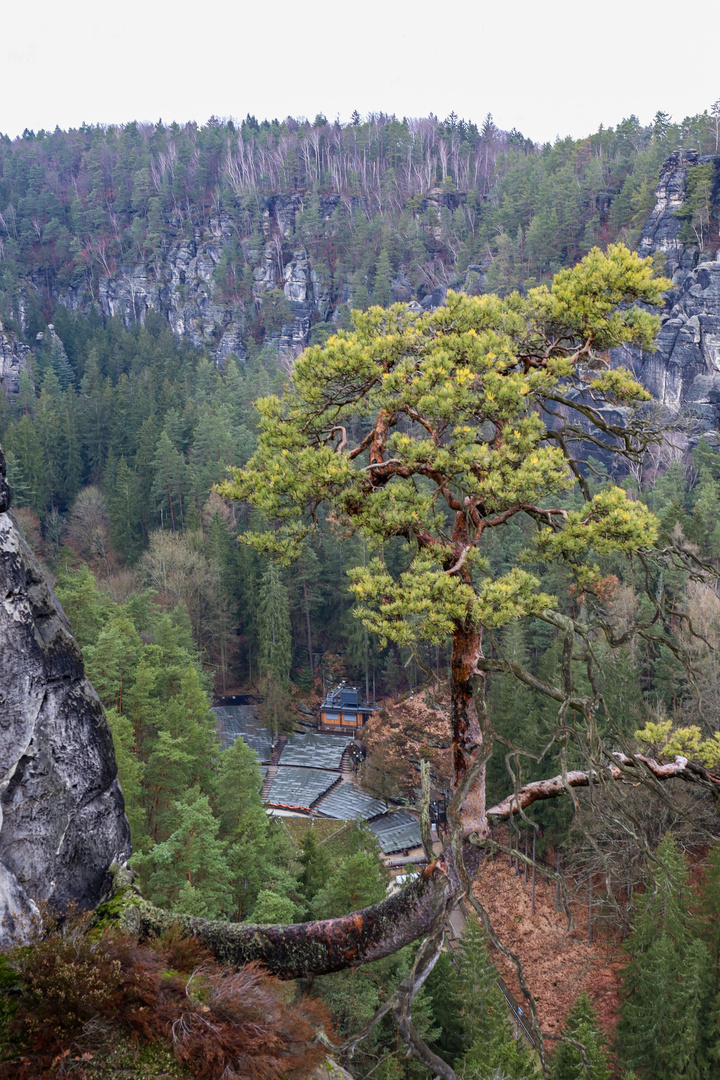 Bastei-Rathen 1