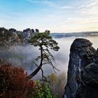 Bastei (Sächsische Schweiz) 