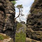 Bastei sächsischen Schweiz.