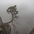 Bastei_5140-1