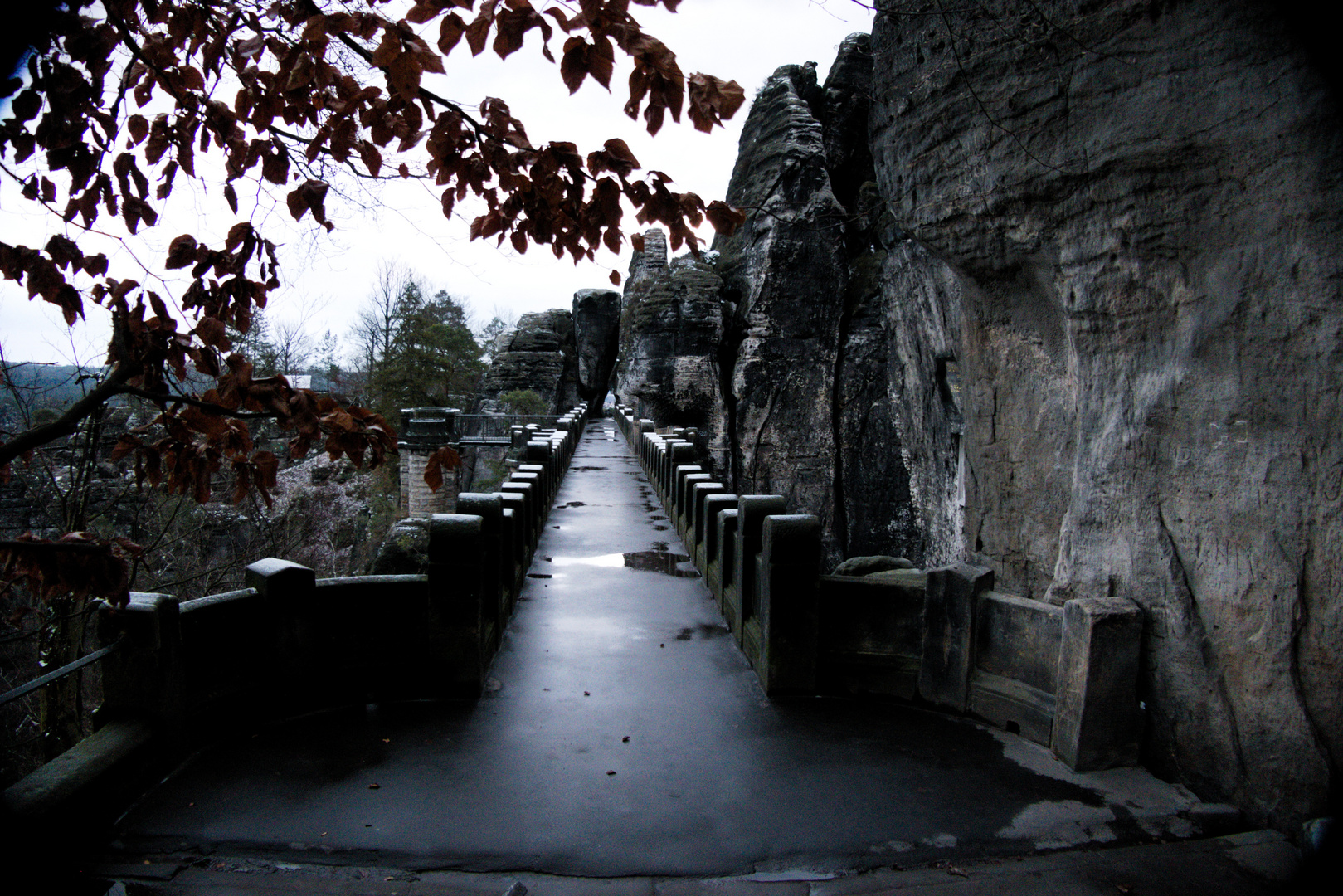 _________Basteibrücke (2)__________