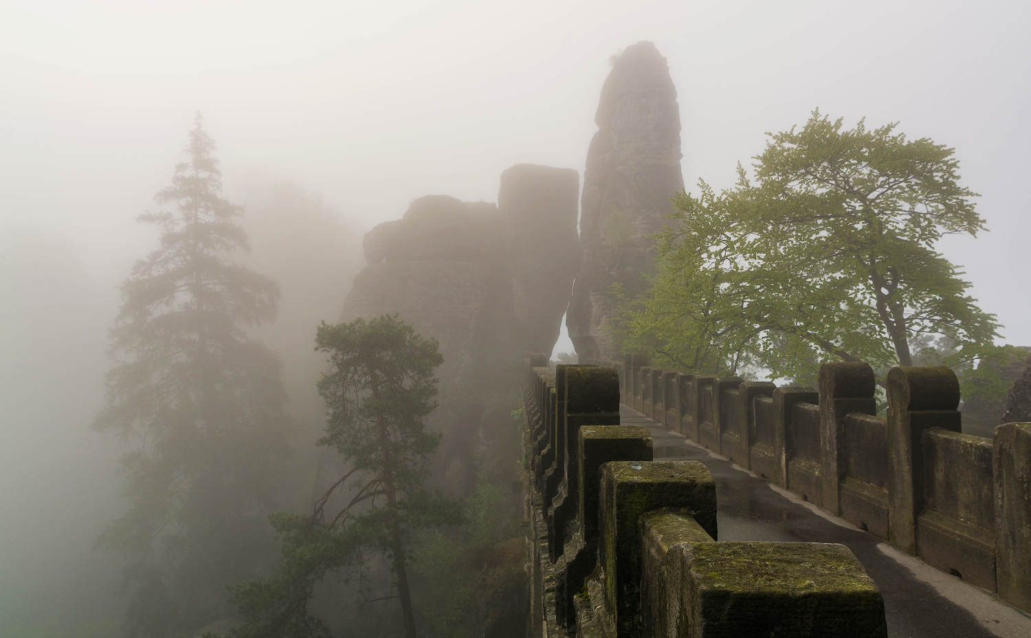 Basteibrücke im Nebel