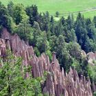 Bastelei der Natur