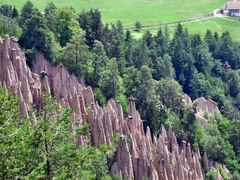 Bastelei der Natur