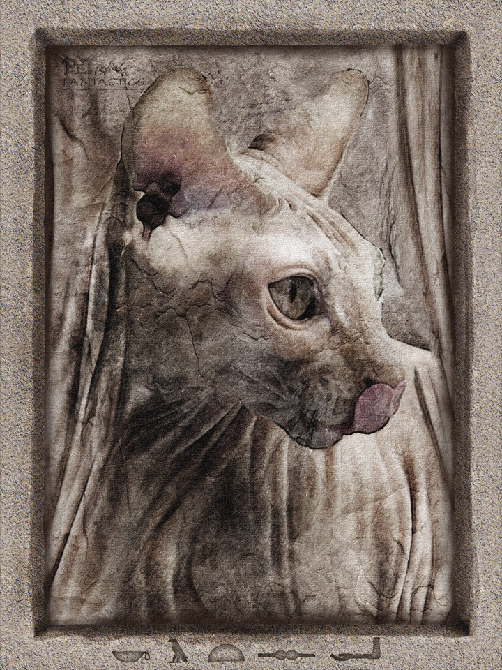 Bastet