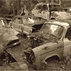 Bastnäs - Der Wald der tausend Oldtimer