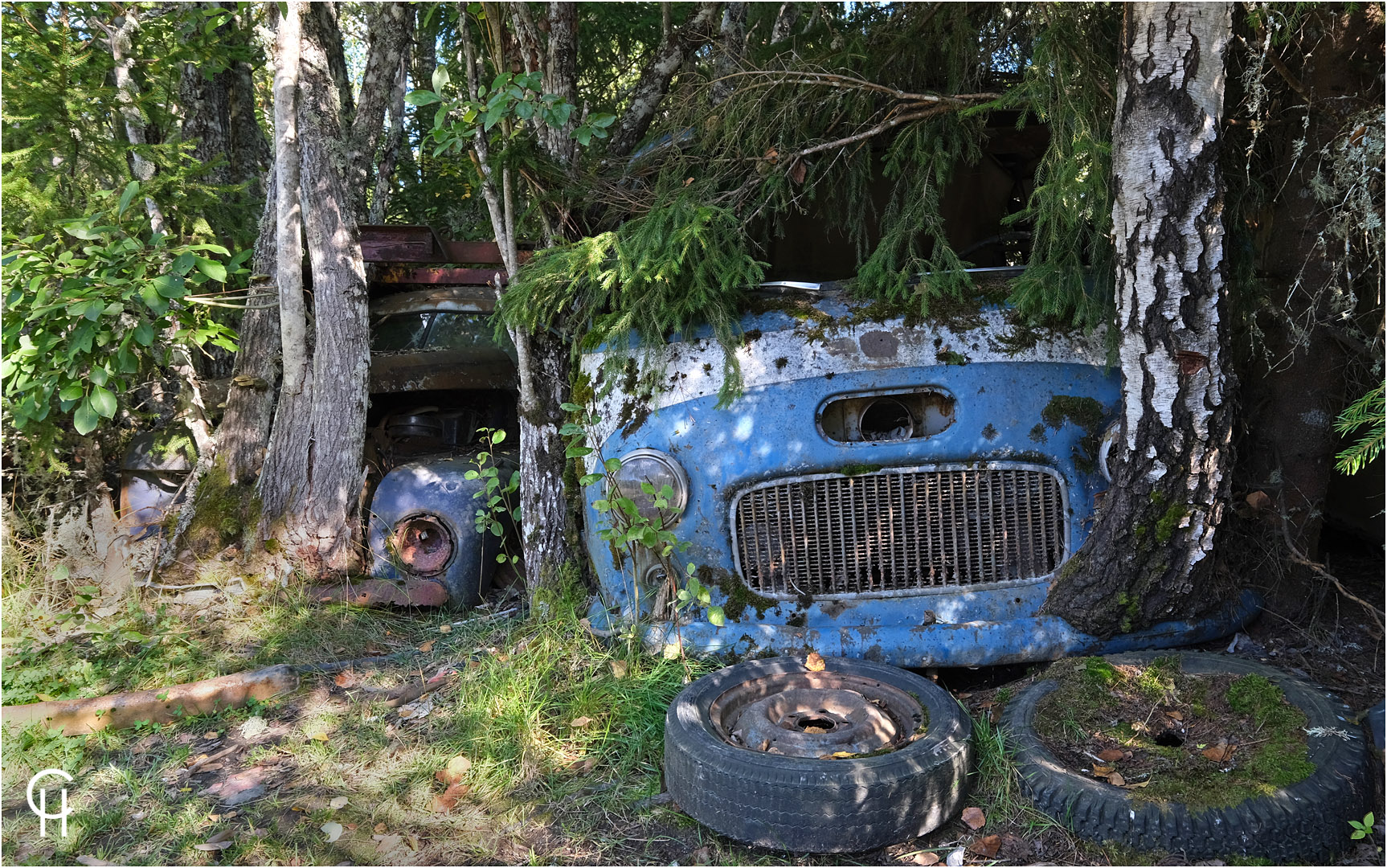 Bastnäs - Im Wald der 1000 toten Autos